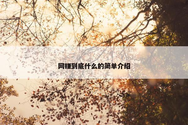 网赚到底什么的简单介绍
