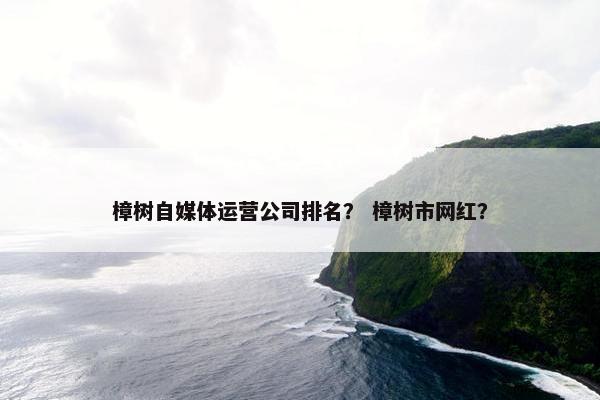 樟树自媒体运营公司排名？ 樟树市网红？