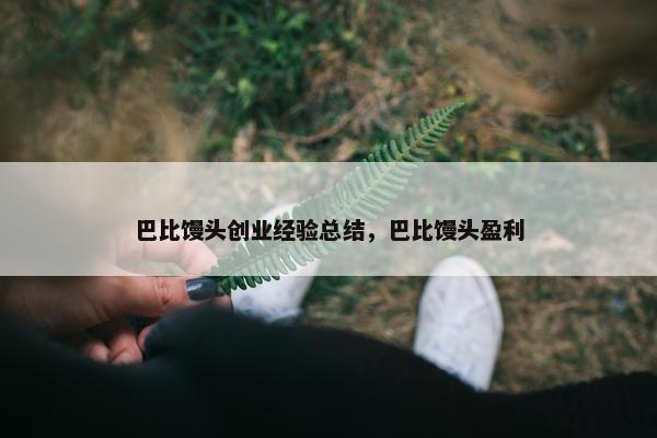 巴比馒头创业经验总结,巴比馒头盈利 巴比馒头创业经验总结,巴比馒头盈利