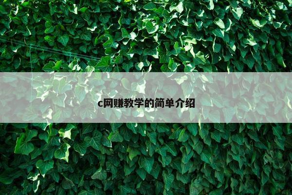 c网赚教学的简单介绍