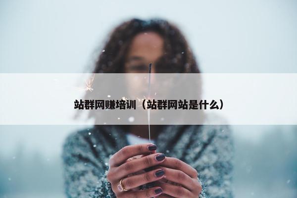 站群网赚培训（站群网站是什么）