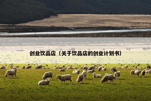 创业饮品店(关于饮品店的创业计划书) 创业饮品店(关于饮品店的创业计划书)