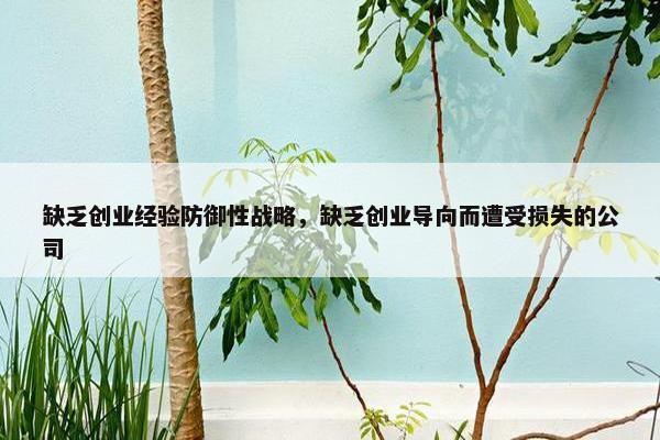 缺乏创业经验防御性战略，缺乏创业导向而遭受损失的公司