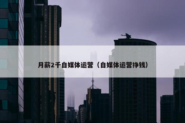 月薪2千自媒体运营（自媒体运营挣钱）