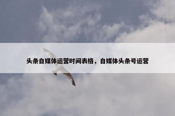 头条自媒体运营时间表格，自媒体头条号运营