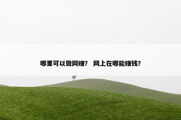哪里可以做网赚？ 网上在哪能赚钱？