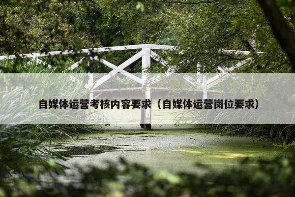 自媒体运营考核内容要求（自媒体运营岗位要求）