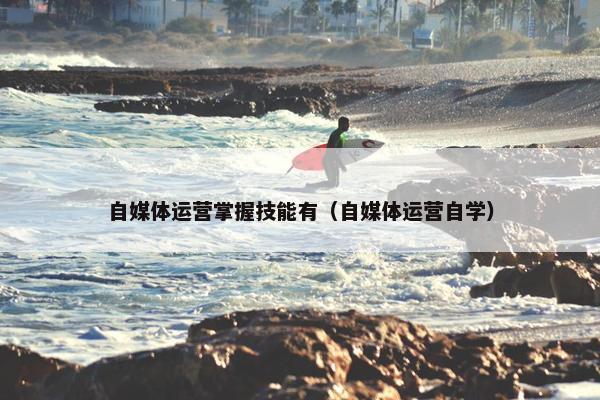 自媒体运营掌握技能有（自媒体运营自学）