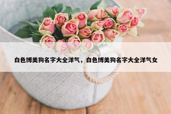 白色博美狗名字大全洋气，白色博美狗名字大全洋气女