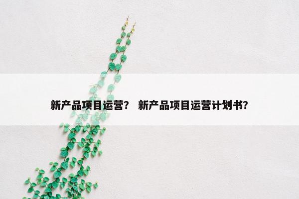 新产品项目运营？ 新产品项目运营计划书？