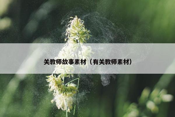 关教师故事素材（有关教师素材）
