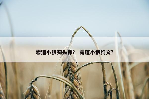 霸道小狼狗头像？ 霸道小狼狗文？