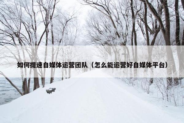 如何提速自媒体运营团队（怎么能运营好自媒体平台）