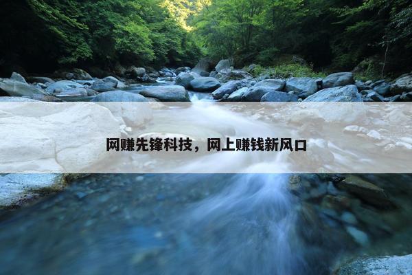 网赚先锋科技，网上赚钱新风口