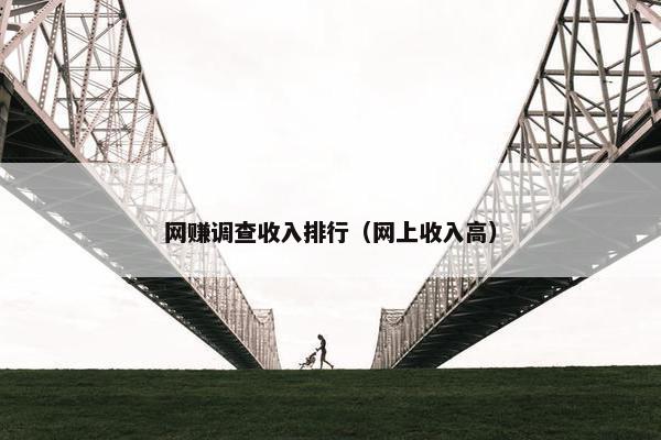 网赚调查收入排行（网上收入高）