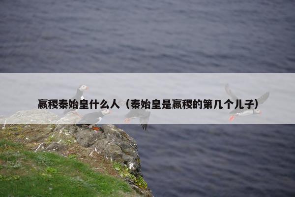 嬴稷秦始皇什么人（秦始皇是嬴稷的第几个儿子）