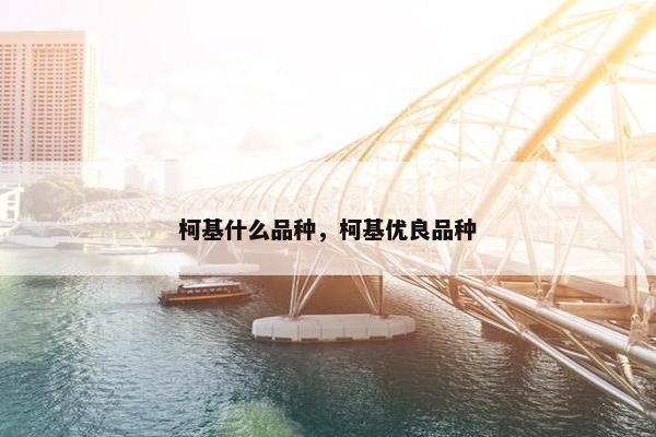 柯基什么品种，柯基优良品种