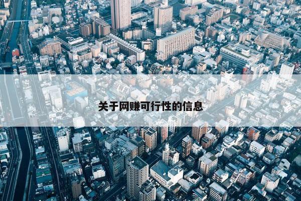 关于网赚可行性的信息