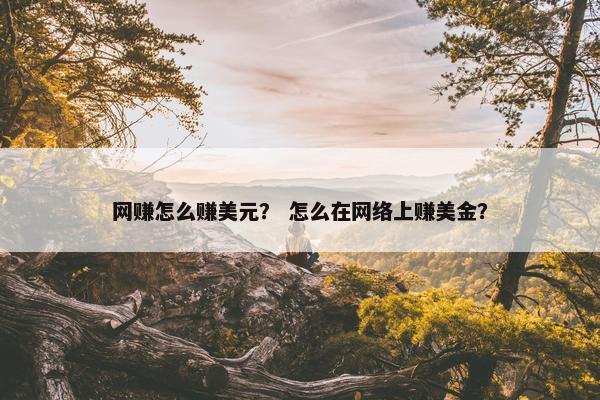 网赚怎么赚美元？ 怎么在网络上赚美金？
