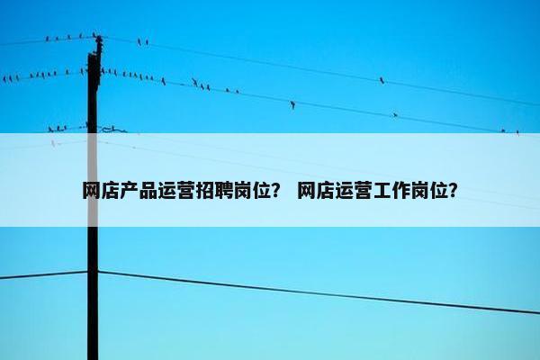 网店产品运营招聘岗位？ 网店运营工作岗位？