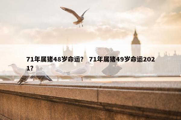 71年属猪48岁命运？ 71年属猪49岁命运2021？