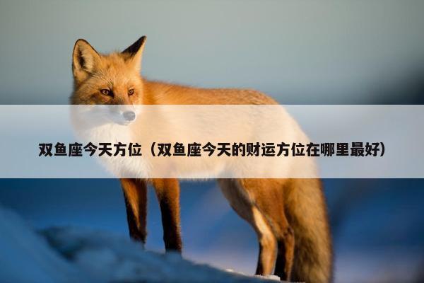 双鱼座今天方位（双鱼座今天的财运方位在哪里最好）