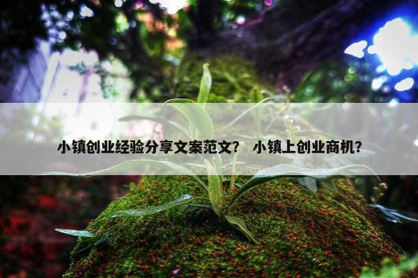 小镇创业经验分享文案范文？ 小镇上创业商机？