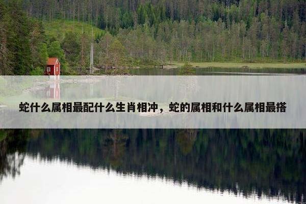 蛇什么属相最配什么生肖相冲，蛇的属相和什么属相最搭