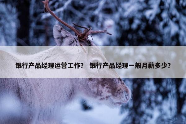 银行产品经理运营工作？ 银行产品经理一般月薪多少？