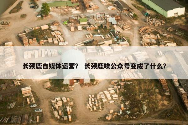 长颈鹿自媒体运营？ 长颈鹿唉公众号变成了什么？