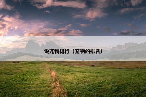 说宠物排行（宠物的排名）