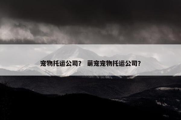 宠物托运公司？ 萌宠宠物托运公司？
