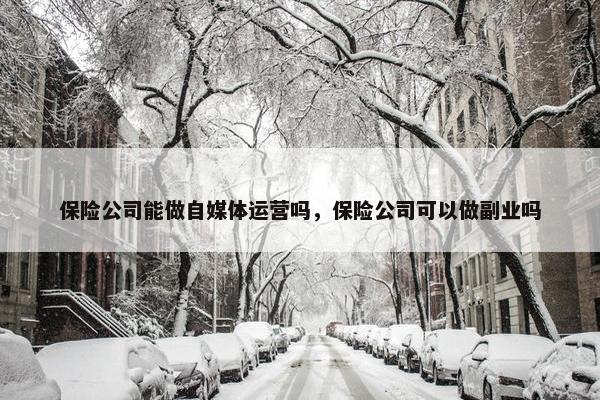 保险公司能做自媒体运营吗，保险公司可以做副业吗