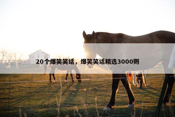 20个爆笑笑话，爆笑笑话精选3000则