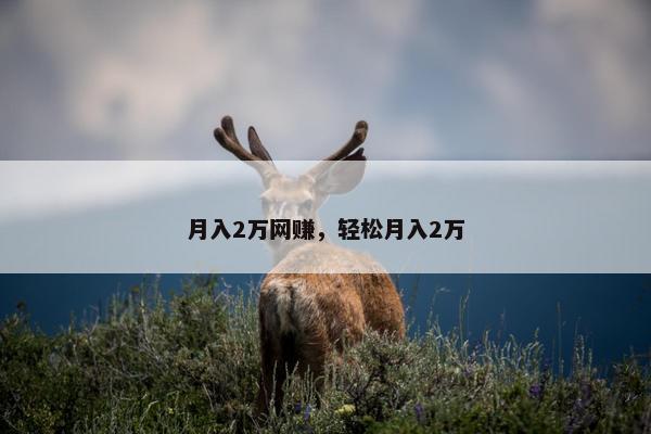 月入2万网赚，轻松月入2万