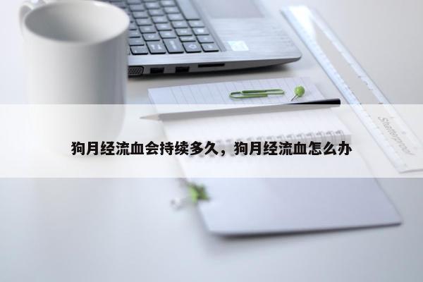 狗月经流血会持续多久，狗月经流血怎么办