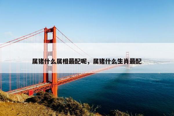 属猪什么属相最配呢,属猪什么生肖最配 属猪什么属相最配呢,属猪什么生肖最配