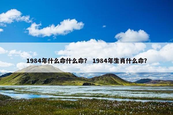 1984年什么命什么命？ 1984年生肖什么命？