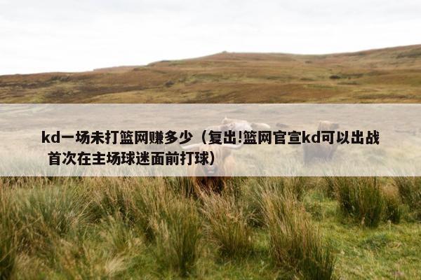 kd一场未打篮网赚多少(复出!篮网官宣kd可以出战 首次在主场球迷面前打球) kd一场未打篮网赚多少(复出!篮网官宣kd可以出战 首次在主场球迷面前打球)