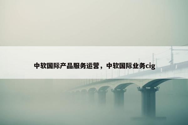 中软国际产品服务运营，中软国际业务cig