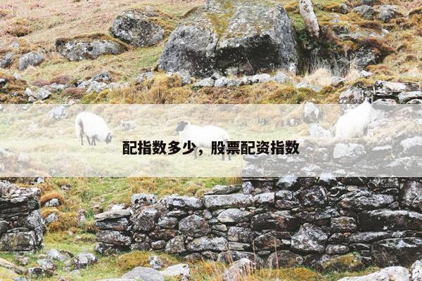 配指数多少，股票配资指数