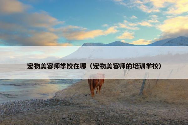 宠物美容师学校在哪（宠物美容师的培训学校）