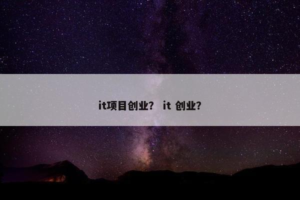 it项目创业？ it 创业？