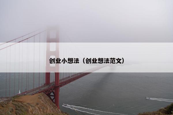 创业小想法（创业想法范文）