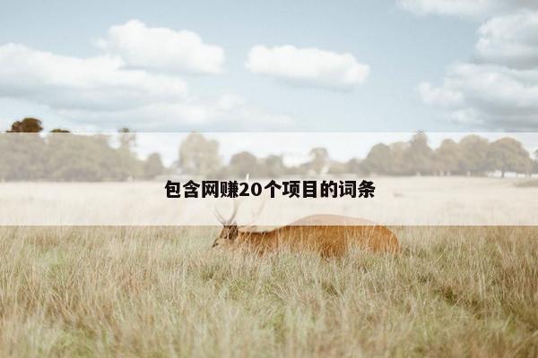 包含网赚20个项目的词条