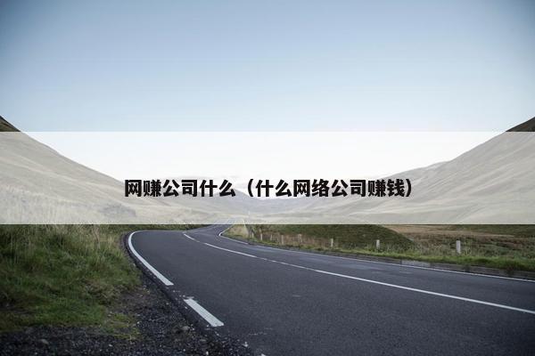 网赚公司什么（什么网络公司赚钱）