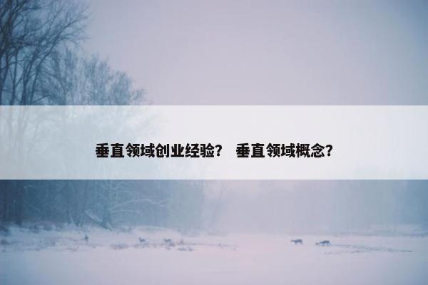 垂直领域创业经验？ 垂直领域概念？