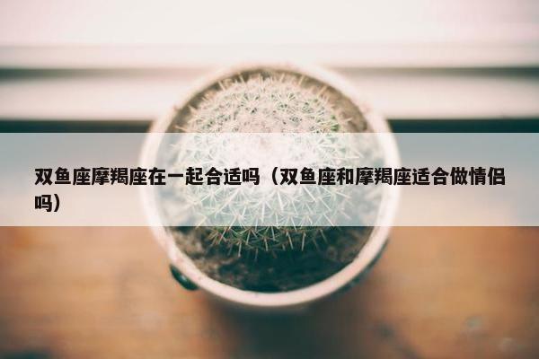 双鱼座摩羯座在一起合适吗（双鱼座和摩羯座适合做情侣吗）