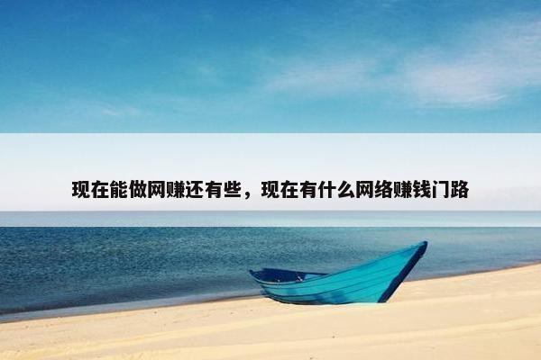 现在能做网赚还有些，现在有什么网络赚钱门路