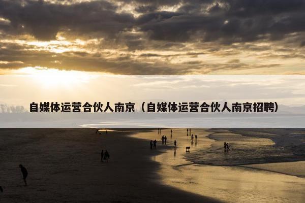 自媒体运营合伙人南京（自媒体运营合伙人南京招聘）